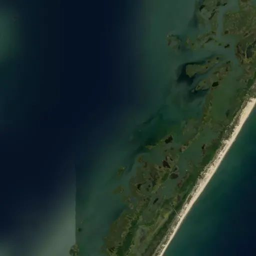 Bird's eye view of the park