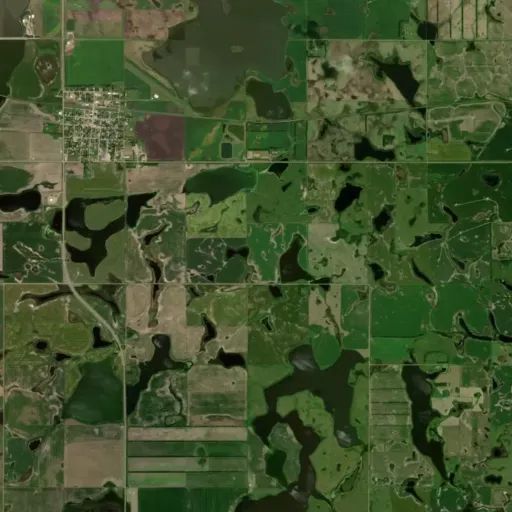 Bird's eye view of the park