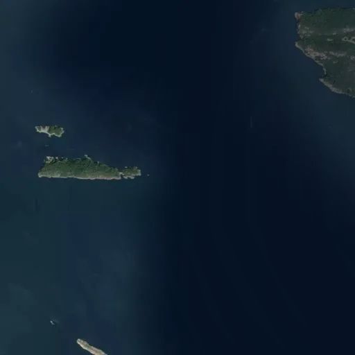 Bird's eye view of the park