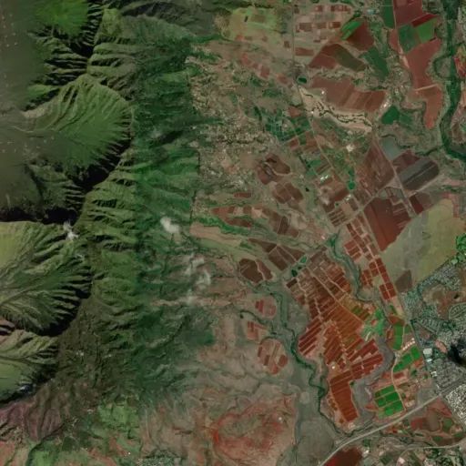 Bird's eye view of the park