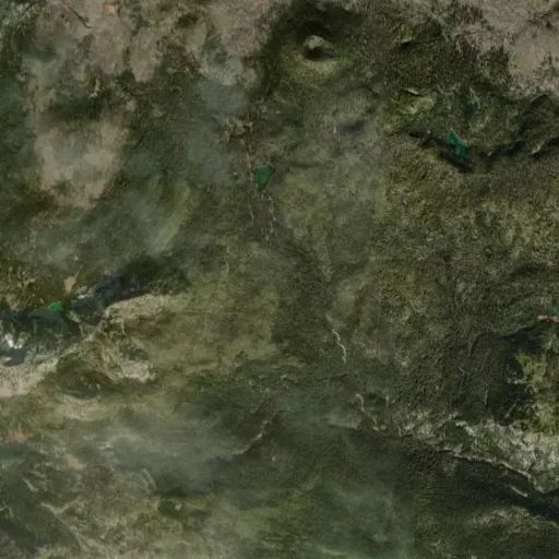 Bird's eye view of the park