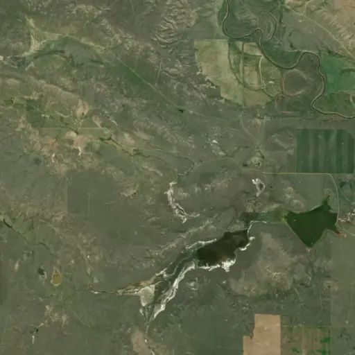 Bird's eye view of the park