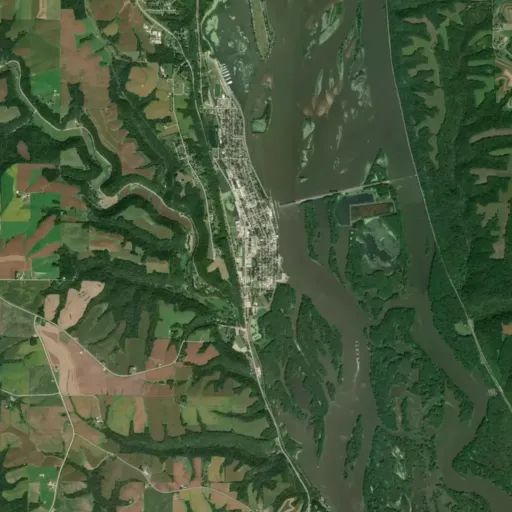 Bird's eye view of the park