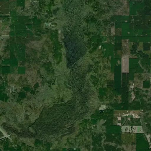 Bird's eye view of the park