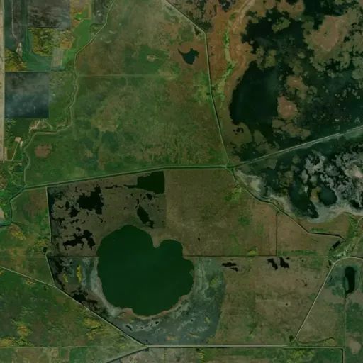 Bird's eye view of the park