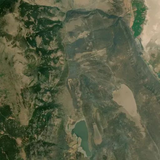 Bird's eye view of the park