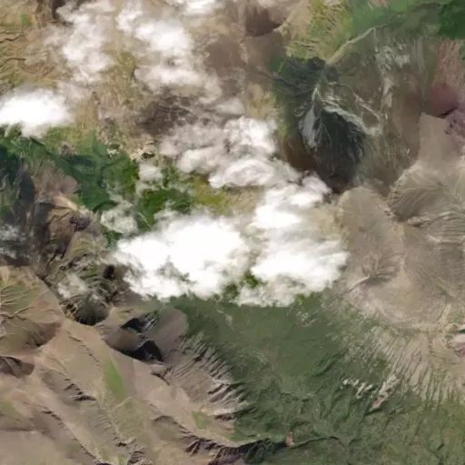 Bird's eye view of the park