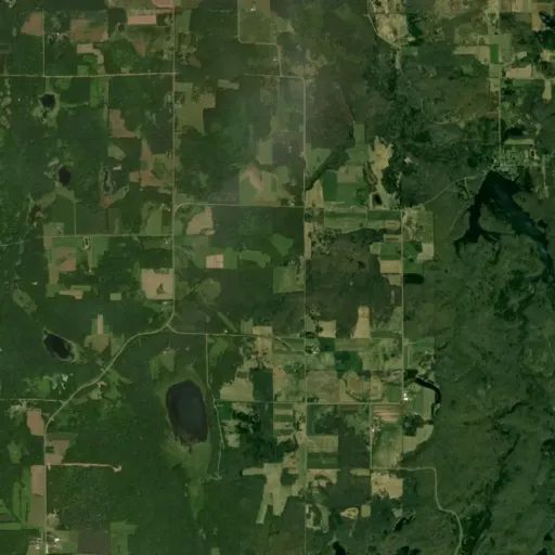 Bird's eye view of the park Bird's eye view of the park