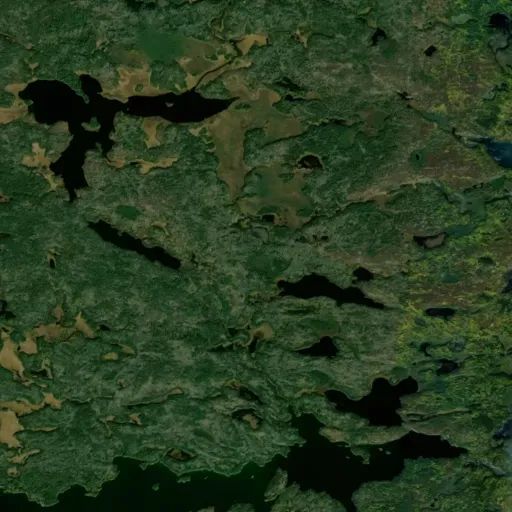 Bird's eye view of the park Bird's eye view of the park