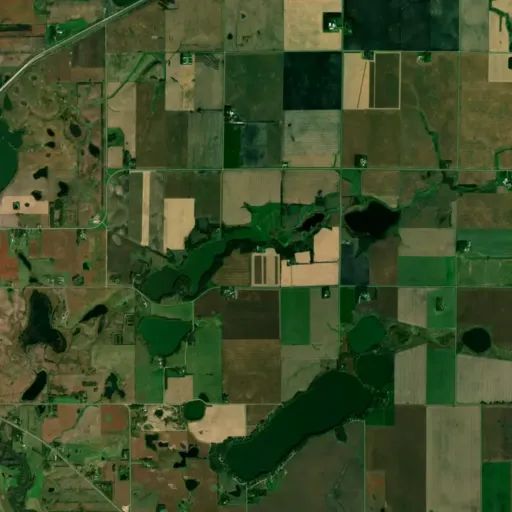 Bird's eye view of the park