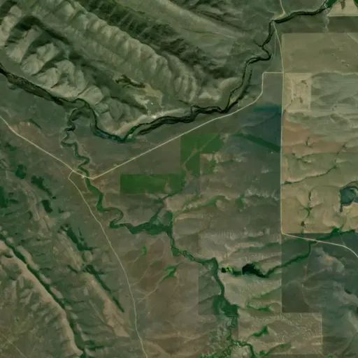 Bird's eye view of the park