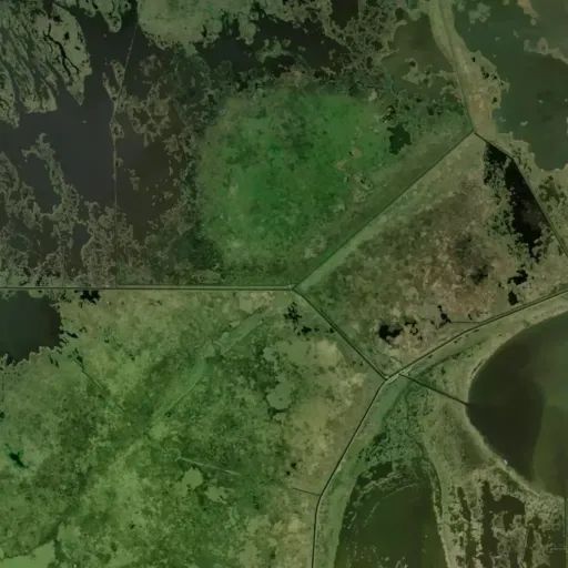 Bird's eye view of the park