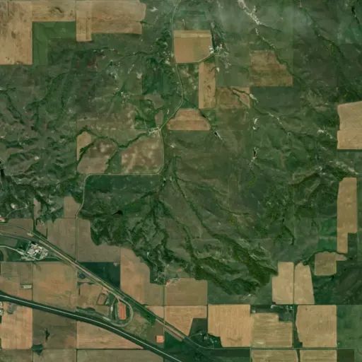 Bird's eye view of the park