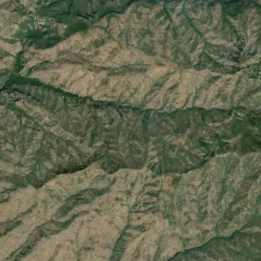 Bird's eye view of the park