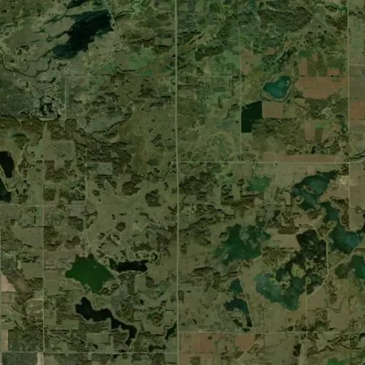 Bird's eye view of the park