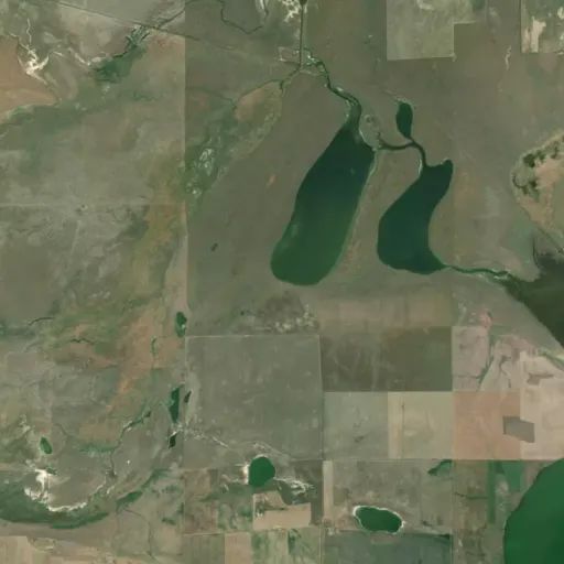 Bird's eye view of the park