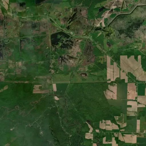 Bird's eye view of the park