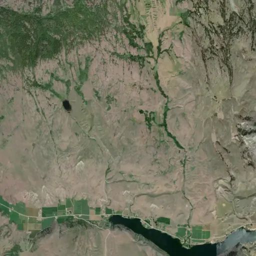 Bird's eye view of the park