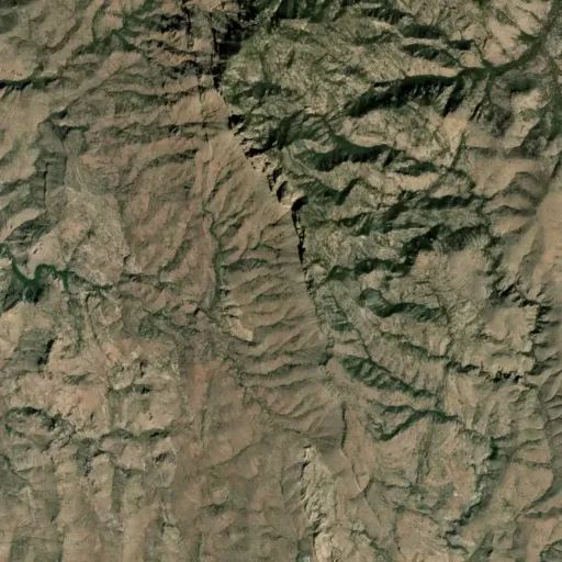 Bird's eye view of the park Bird's eye view of the park