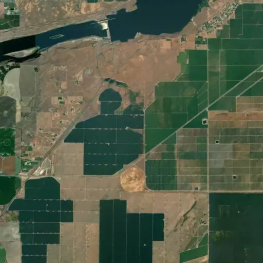 Bird's eye view of the park