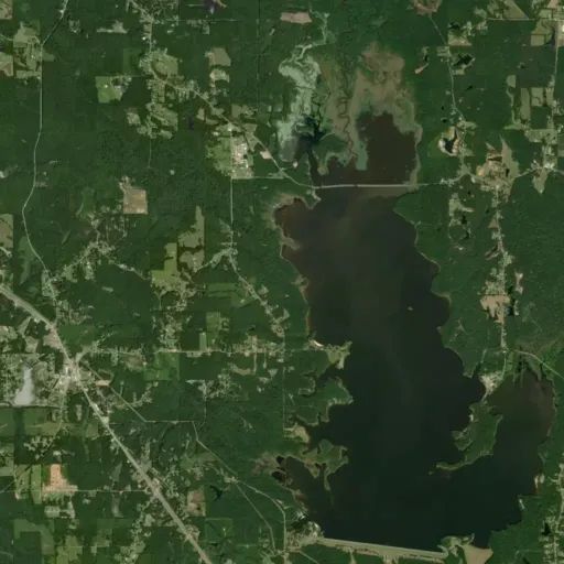 Bird's eye view of the park