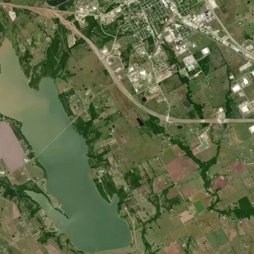 Bird's eye view of the park