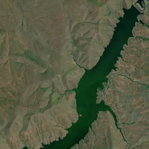 Bird's eye view of the park