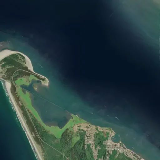 Bird's eye view of the park
