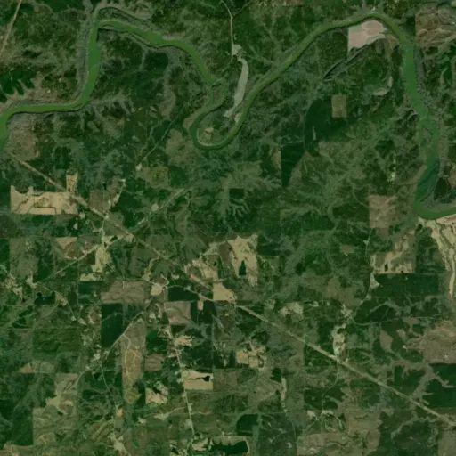 Bird's eye view of the park