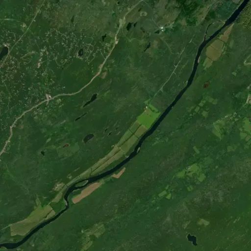 Bird's eye view of the park