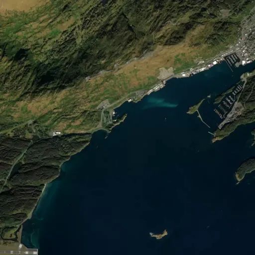 Bird's eye view of the park