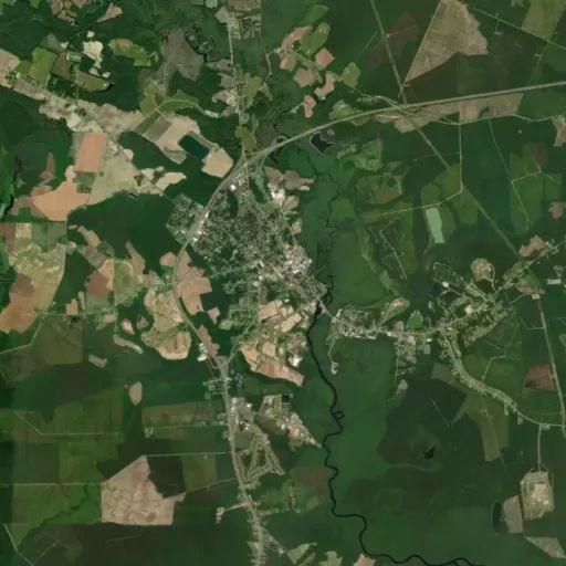 Bird's eye view of the park