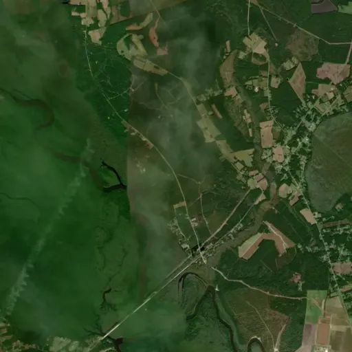 Bird's eye view of the park Bird's eye view of the park