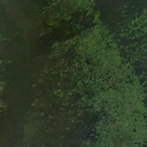 Bird's eye view of the park