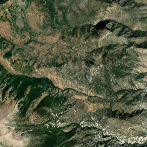 Bird's eye view of the park Bird's eye view of the park