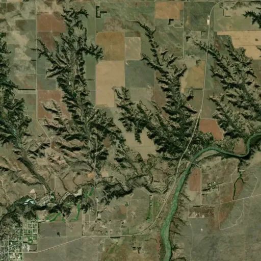 Bird's eye view of the park