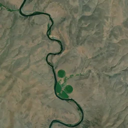 Bird's eye view of the park