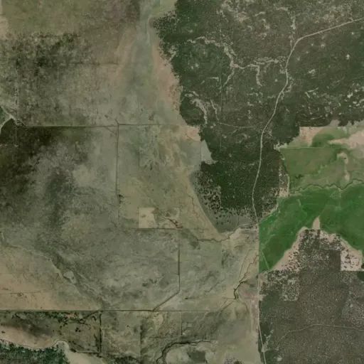 Bird's eye view of the park