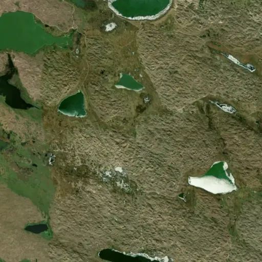 Bird's eye view of the park