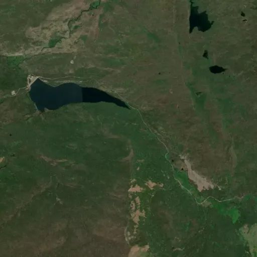 Bird's eye view of the park