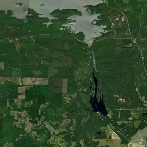 Bird's eye view of the park