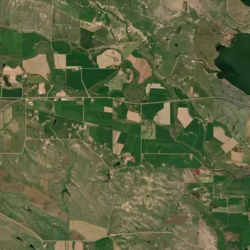 Bird's eye view of the park