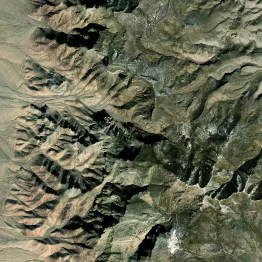 Bird's eye view of the park