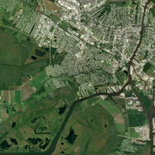 Bird's eye view of the park
