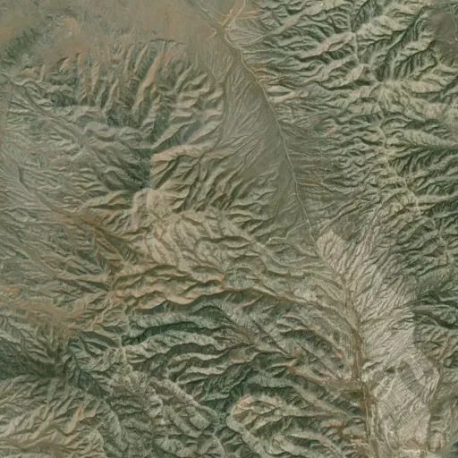 Bird's eye view of the park