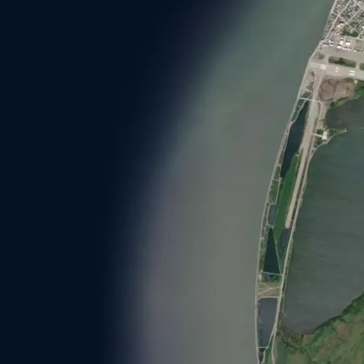 Bird's eye view of the park