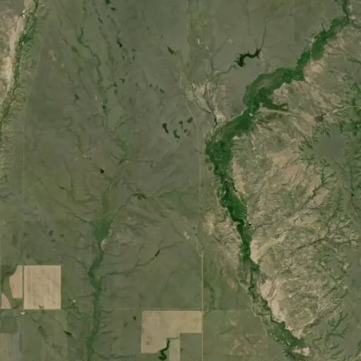 Bird's eye view of the park