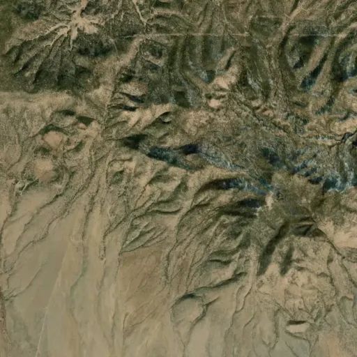 Bird's eye view of the park