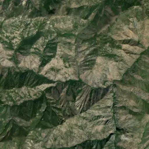 Bird's eye view of the park