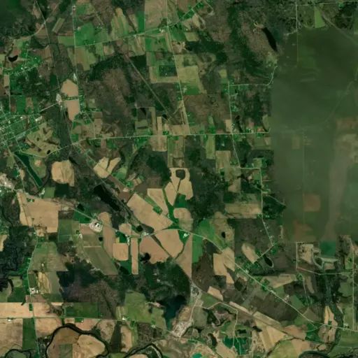 Bird's eye view of the park